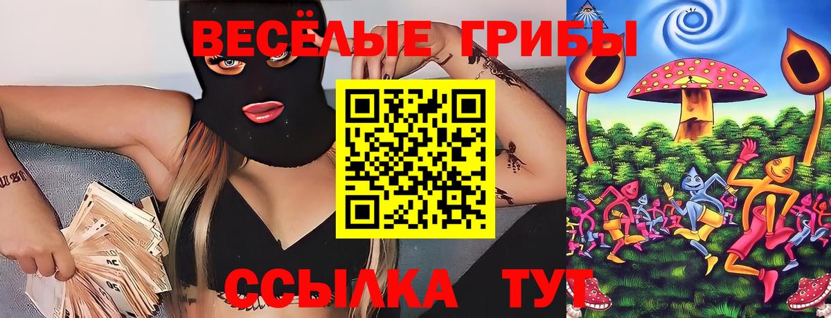 Псилоцибиновые грибы мухоморы  Галлюциногенные грибы ЛСД  Вход с VPN  Заречный 